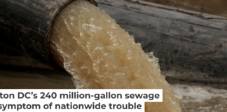 A pipe carries water and raw sewage into the C&O Canal, parallel to the Potomac River. Chip Somodevilla/Getty Images